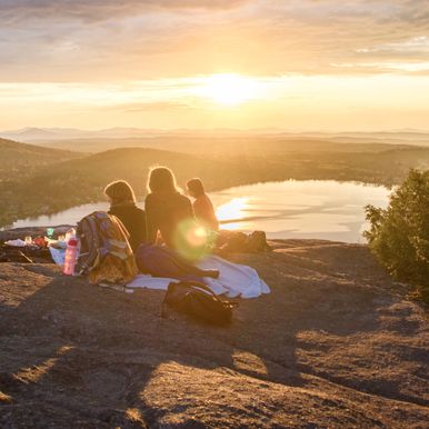 Konstnärliga fotografier som visar vår unika natur